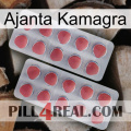 Ajanta Kamagra 19